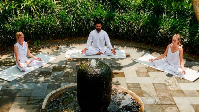 Ayurvedic gut health program The Journey Edit