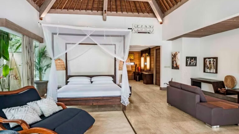 Bali programs features