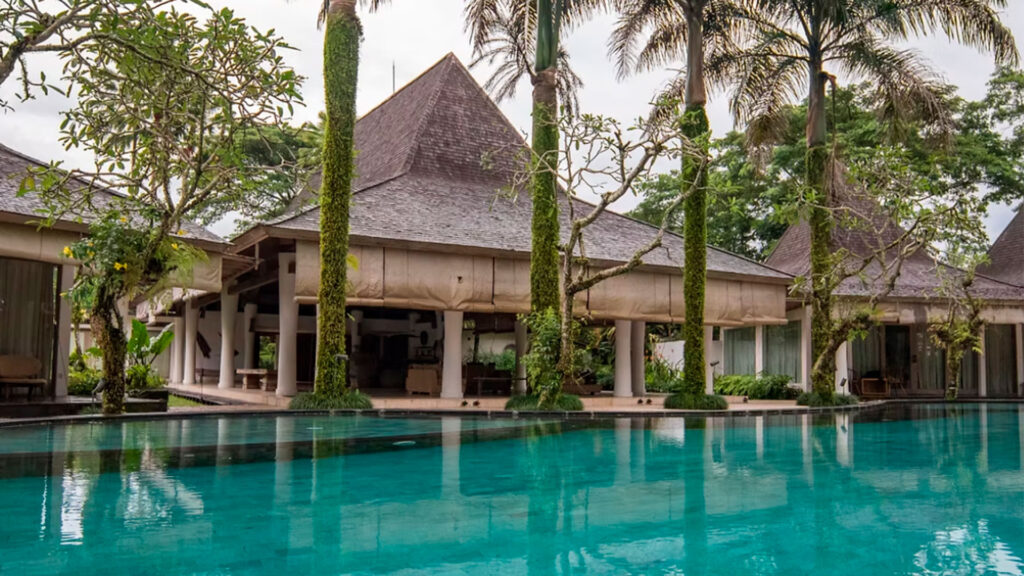 Detox & Rejuvenation Journey Program