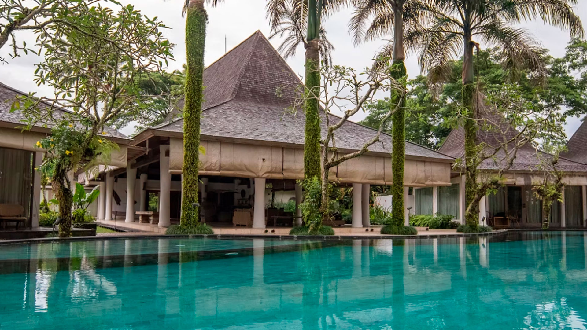 Detox & Rejuvenation Journey Program